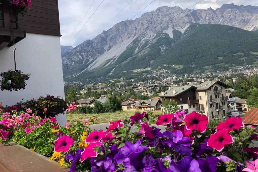 Appartamento A Due Passi Da Bormio Valdisotto Extérieur photo